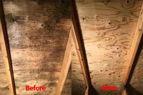 water damage restoration service Mullica Hill